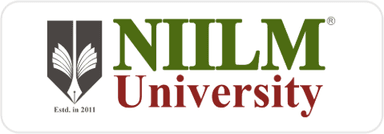NIILM University